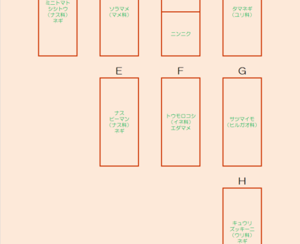 【家庭菜園】畑の計画を見直してみた